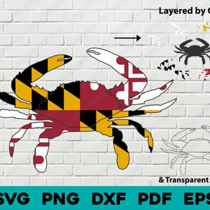 Maryland State Flag Blue Crab svg png dxf vector graphic design digital file U.S. 50 State Flags USA America United States Flags