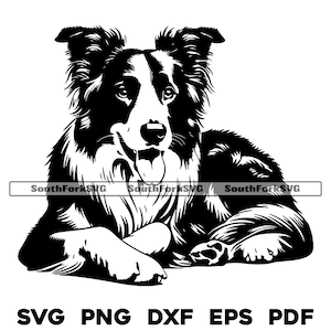 Border Collie Hund Liegend Motiv 1 | svg png dxf eps pdf | Vektorgrafik Datei Laser Clip Art schneiden | sofortiger digitaler Download kommerzielle Nutzung