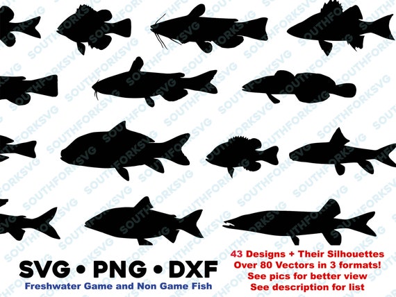 Freshwater Game & Non Game Fish Silhouettes Mega Bundle SVG PNG DXF Vector  Graphic Design Bass Crappie Pike Musky Catfish Sucker 