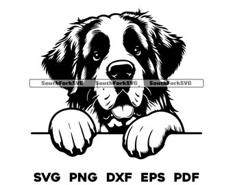 Peeking Saint Bernard svg png dxf eps pdf | vector graphic cut file laser clip art | instant digital download commercial use