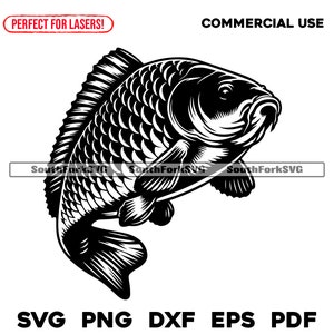Karper vissen svg png dxf eps pdf | transparant vector grafisch ontwerp gesneden print kleurstof sub laser graveerbestanden commercieel gebruik