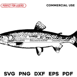 May include: Black and white line art illustration of a trout fish. The fish is facing left and has a detailed design with scales and fins.