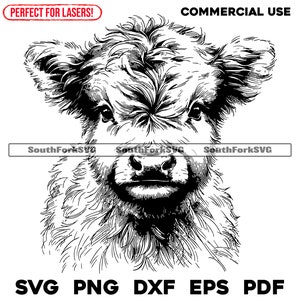 Baby Highland Cow portret lasergraveren bestanden svg png dxf eps pdf | vector grafisch ontwerp knippen print dye sub digitale bestanden commercieel gebruik