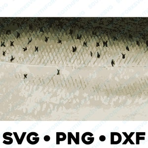 Lachshaut Muster SVG PNG DXF Lachsfischen atlantischer König Chinook Sockeye Seelauf Regenbogen Bach Forelle Fliegenfischen Angeln Jagd 1