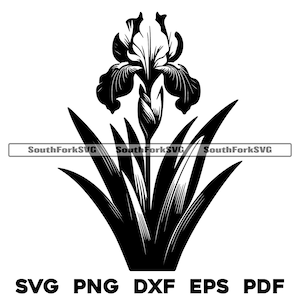 Iris bloem bloemdessin svg png dxf eps pdf | vectorafbeelding snijbestand laserclipart | direct digitaal downloaden voor commercieel gebruik