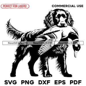 Perro de caza de patos Boykin Spaniel / svg png dxf eps pdf / archivo de corte gráfico vectorial clip art láser / descarga instantánea para uso comercial