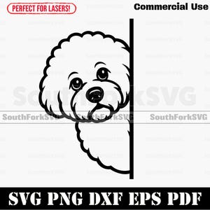 Peering Peeking Bichon Frise svg png dxf eps pdf | vector graphic stencil cut file laser clip art print digital download commercial use