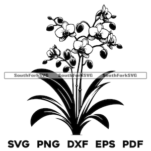 Fleur d'orchidée Floral Design svg png dxf eps pdf | graphique vectoriel découpé fichier laser clip art | Téléchargement numérique instantané, utilisation commerciale
