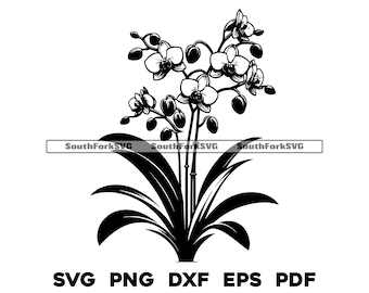 Fleur d'orchidée Floral Design svg png dxf eps pdf | graphique vectoriel découpé fichier laser clip art | Téléchargement numérique instantané, utilisation commerciale