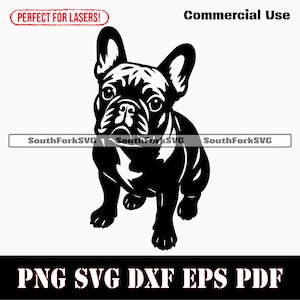 Französische Bulldogge Betteln svg png dxf eps pdf | Vektorgrafik Schablonenschnitt Datei Laser Clip Art Druck digitaler download kommerzielle Nutzung