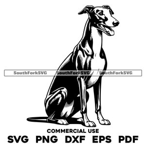 Assis pour chien Greyhound | svg png dxf eps pdf | graphique vectoriel découpé fichier laser clip art | Téléchargement numérique instantané, utilisation commerciale