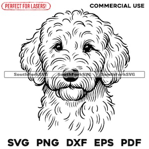 Goldendoodle Laser Engrave Files svg png dxf eps pdf / diseño gráfico vectorial corte tinte de impresión sub archivos digitales uso comercial