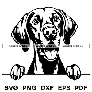 Spähender Vizsla Hundekopf Design | svg png dxf eps pdf | Vektorgrafik Datei Laser Clip Art schneiden | sofortiger digitaler Download kommerzielle Nutzung