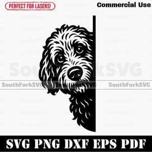 Peering Peeking Goldendoodle Dog Svg Png Dxf Eps Pdf | Vector Graphic ...