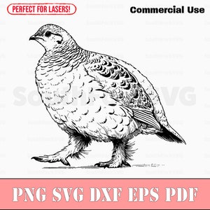 Ruffed Grouse Bird svg png dxf eps pdf | vector grafisch ontwerp gesneden print kleurstof sub laser graveren cnc digitale bestanden commercieel gebruik