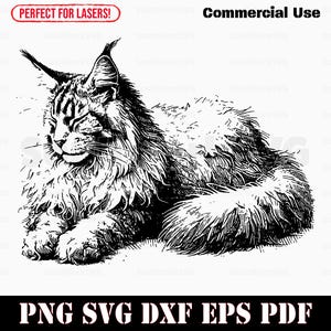 Maine Coon Cat Portrait svg png dxf eps pdf | vector graphic cut file laser engrave clip art | instant digital download commercial use