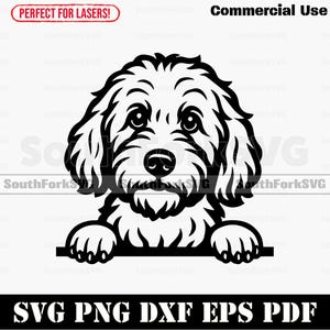 Puede incluir: Ilustración en blanco y negro de un perro con pelaje esponjoso. El perro mira hacia adelante. El texto "SVG PNG DXF EPS PDF" y "Commercial Use" está incluido.