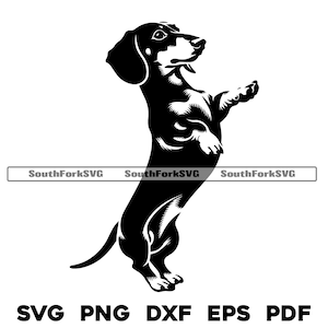 Teckel Weiner-hond staand | svg png dxf eps pdf vectorafbeelding gesneden bestand laser illustraties | direct digitaal downloaden voor commercieel gebruik