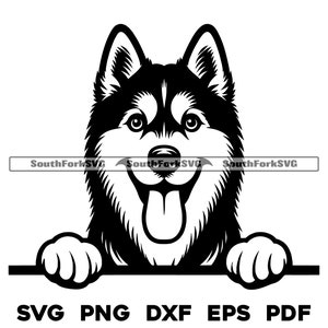 Spähender Siberian Husky Hundekopf Design svg png dxf eps pdf | Vektorgrafik Schnittdatei Laser Clip Art Sofortiger digitaler Download Kommerzielle Nutzung