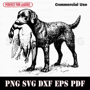 Labrador Retriever Pájaro Perro Pato Caza svg png dxf eps pdf / Archivo de corte gráfico vectorial Clip Art láser / Descarga instantánea Uso comercial