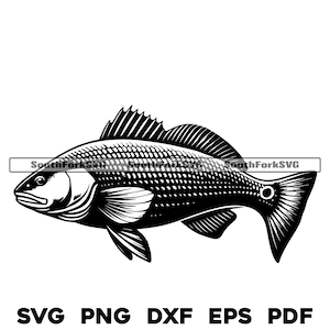 Redfish Red Drum Design | svg png dxf eps pdf | transparent vector graphic design cut print dye sub laser engrave files commercial use