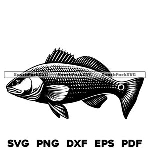 Redfish Red Drum Design | svg png dxf eps pdf | transparent vector graphic design cut print dye sub laser engrave files commercial use