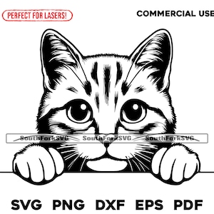 Ginger Cat spähendes Design | svg png dxf eps pdf | Vektorgrafik Datei Laser Clip Art schneiden | sofortiger digitaler Download kommerzielle Nutzung