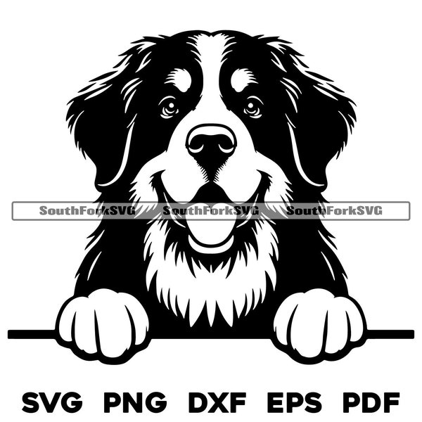 Peeking Bernese Mountain Dog Design | svg png dxf eps pdf | vector graphic cut file laser clip art | instant digital download commercial use