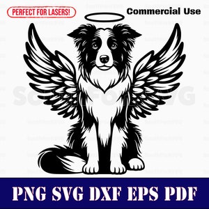 Border Collie Hund Engel Flügel & Halo svg png dxf eps pdf | Vektorgrafik Datei Laser Clip Art schneiden | sofortiger digitaler Download kommerzielle Nutzung