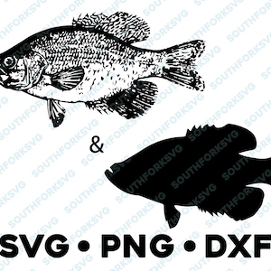 Crappie Bluegill Panfish Sunfish Bass SVG PNG DXF vector transparent  cameo silhouette cut file vinyl decal fishing outdoors bass pike