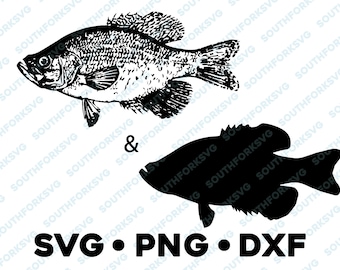 Crappie Bluegill Panfish Sunfish Bass SVG PNG DXF vector transparent  cameo silhouette cut file vinyl decal fishing outdoors bass pike