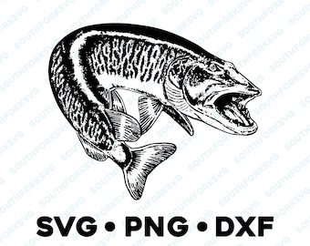 Muskie Musky Muskellunge Northern Pike SVG PNG DXF vector transparent  cameo silhouette cut file vinyl decal fishing outdoors animal