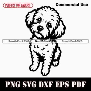 Maltipoo che supplica svg png dxf eps pdf / grafica vettoriale stencil file di taglio laser clip art stampa download digitale istantaneo uso commerciale