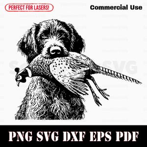 May include: Black and white illustration of a dog with a pheasant in its mouth. The dog is a German Shorthaired Pointer.
