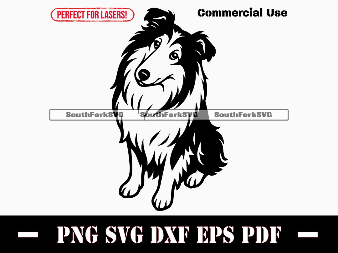 Collie Begging Svg Png Dxf Eps Pdf | Vector Graphic Stencil Cut File ...