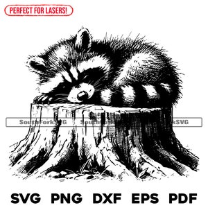 Bébé raton laveur dormant sur une souche d'arbre fichiers de gravure laser svg png dxf eps pdf | Fichiers cnc graphiques découpés, impression à colorant, utilisation commerciale