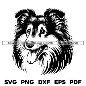 Shetland Shetland Hund Kopf Design | svg png dxf eps pdf | Vektorgrafik Datei Laser Clip Art schneiden | sofortiger digitaler Download kommerzielle Nutzung