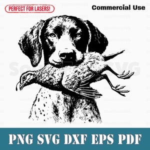 Puede incluir: Ilustración en blanco y negro de un perro Braco Alemán de Pelo Corto llevando una perdiz en la boca.