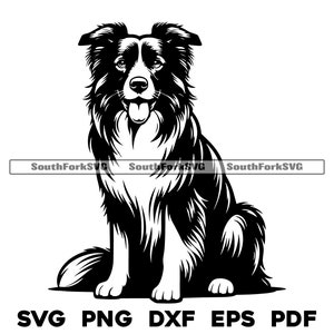 Border-Collie Hund Sitzend Design | svg png dxf eps pdf | Vektorgrafik Datei Laser Clip Art schneiden | sofortiger digitaler Download kommerzielle Nutzung
