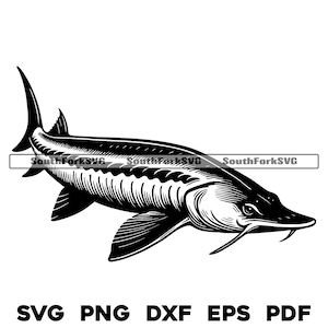 Steur vis ontwerp svg png dxf eps pdf | lasergraveren gesneden afdrukbestanden vector grafische illustraties | direct digitaal downloaden voor commercieel gebruik