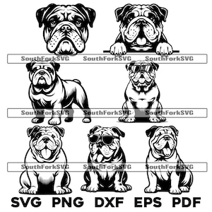 Bulldog Bundle Pack in svg png dxf eps pdf | vector graphic cut file laser clip art | instant download commercial use