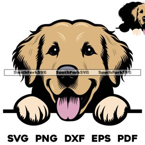 Golden Retriever Hund, Golden Retriever, Pdf, Pdf, Pdf, Pdf, Pdf, Pdf, Pdf, Pdf, Druckgraphik, Schere, geschnitten, geschnitten, Clip Art, Clip Art, Download, Datei, Kommerziell