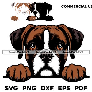 Könnte beinhalten: Ein brauner und weißer Boxer, der mit seinen Pfoten über eine Oberfläche schaut. Der Hund hat einen ernsten Ausdruck und braune Augen. Das Bild ist eine digitale Illustration.