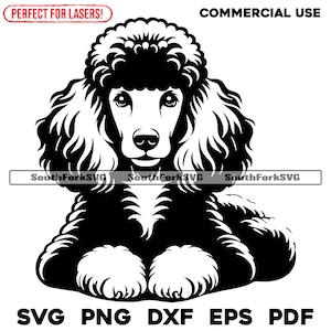 Ontwerp poedel leggen | svg png dxf eps pdf | vectorafbeelding snijbestand laserclipart | direct digitaal downloaden voor commercieel gebruik