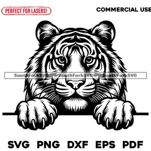 May include: Black and white illustration of a tiger's head peering over a surface. The tiger has a fierce expression and sharp claws.