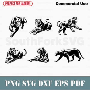 Op de afbeelding: Vijf zwart-witte silhouetbeelden van leeuwen in verschillende poses. De leeuwen kijken in verschillende richtingen en bevinden zich in verschillende posities, waaronder staand, zittend en liggend. De afbeeldingen zijn perfect voor gebruik in knutselwerk, scrapbooking of andere creatieve projecten.