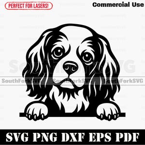 Puede incluir: Gráfico en blanco y negro de un Cavalier King Charles Spaniel con el texto "SVG PNG DXF EPS PDF". La imagen también incluye el texto "Commercial Use" y "SouthForkSVG".