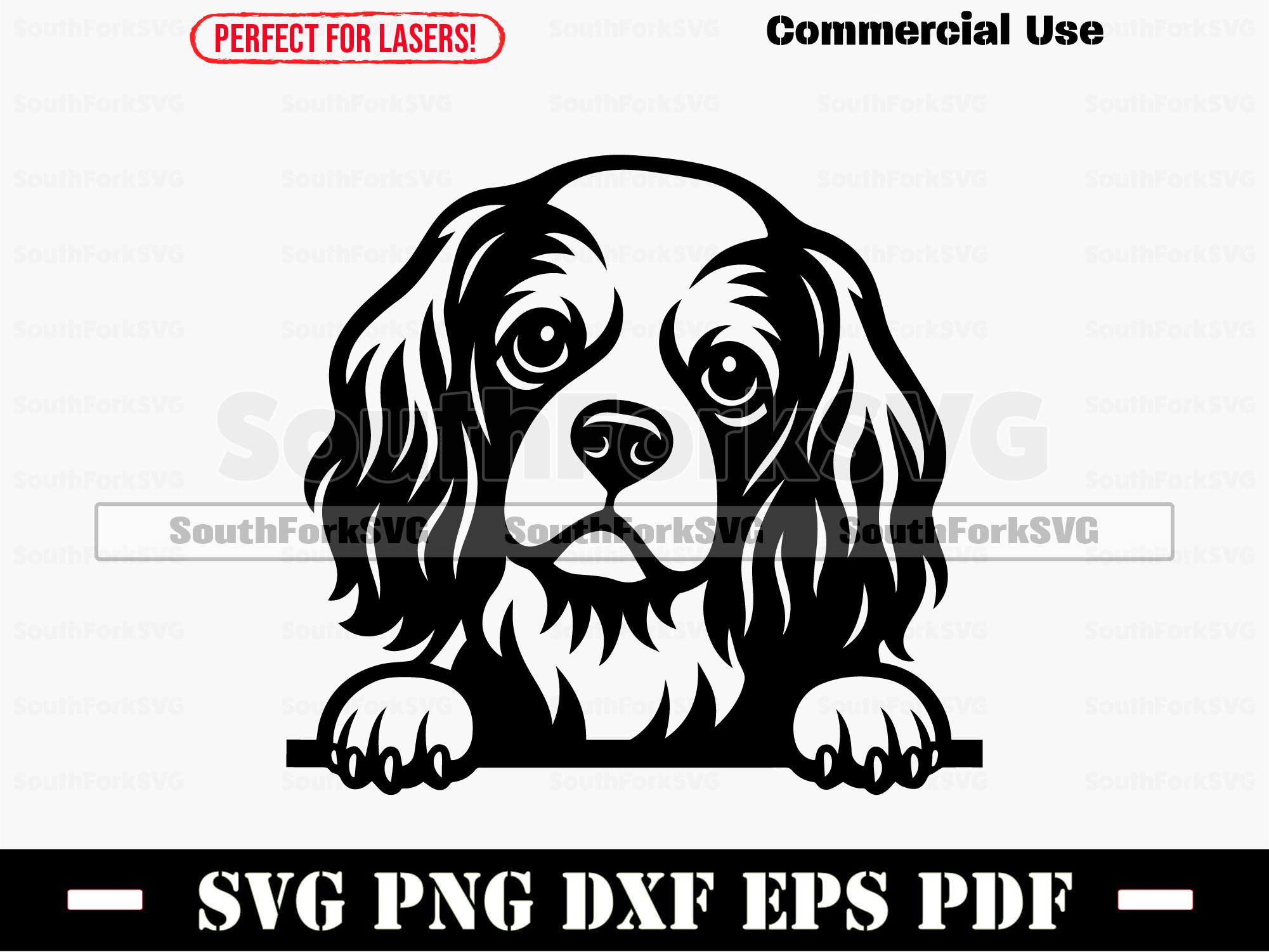 Autocollant Vinyle Découpé Chien Cavalier King Charles Spaniel - Motif Compagnon, Neuf Marque IYVM