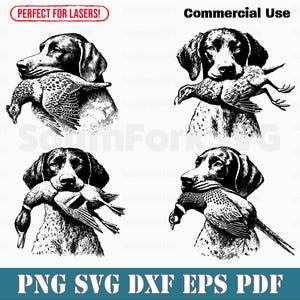 Pacote de cão-pássaro ponteiro de pelo curto alemão | svg png dxf eps pdf | arquivo de corte vetorial laser clip art download instantâneo uso comercial