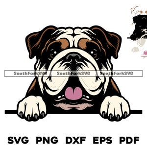 Sbirciare il Bulldog inglese cane stratificato da Color Design / svg png dxf eps pdf / grafica vettoriale tagliata file laser clip art / download uso commerciale